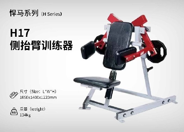 H17側抬臂訓練器