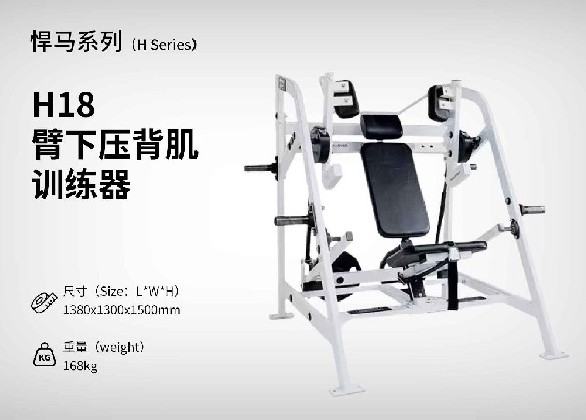 H18臂下壓背肌訓練器