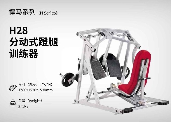H28分動(dòng)式蹬腿訓練器