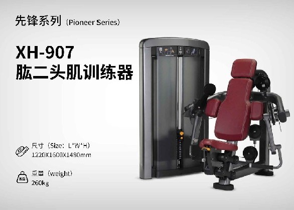 XH-907肱二頭肌訓練器