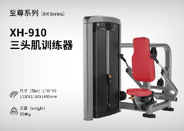 XH-910三頭肌訓練器