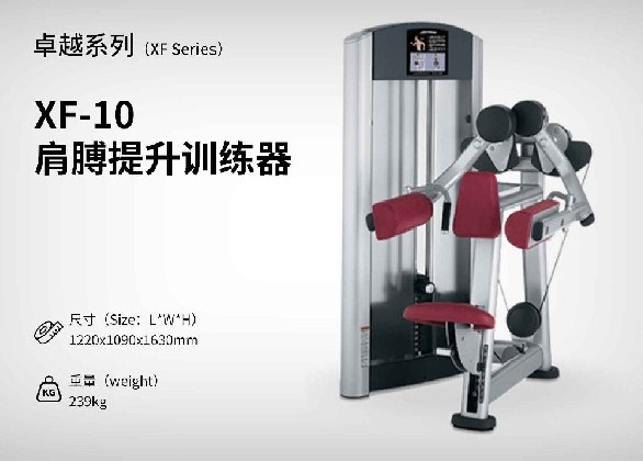 XF-10肩膊提升訓練器