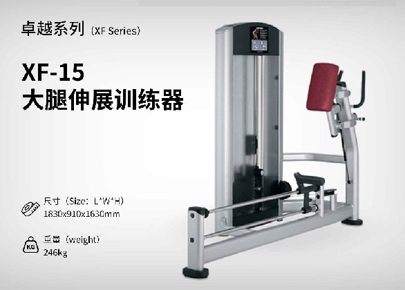 XF-15大腿伸展訓練器