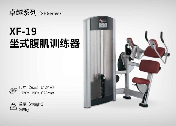 XF-19坐式腹肌訓練器