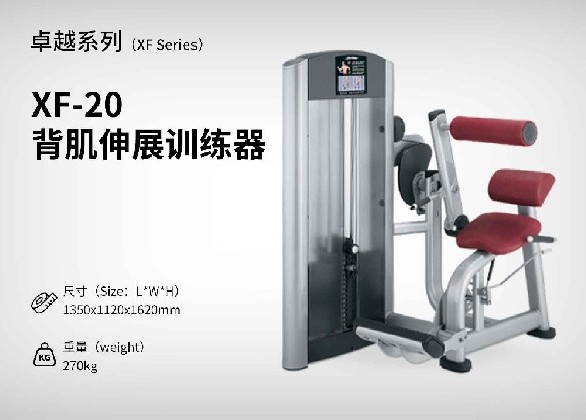 XF-20背肌伸展訓練器