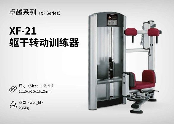 XF-21軀干轉動(dòng)訓練器