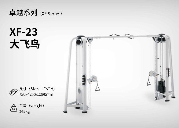 XF-23大飛鳥(niǎo)