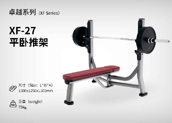 XF-27平臥推架