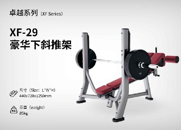 XF-29豪華下斜推架